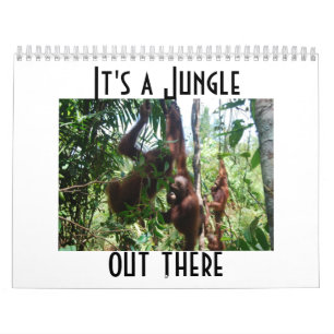 Süße Tier Orangutan Kalender