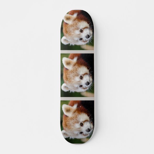 Süße Tier Red Panda Skateboard (Vorne)
