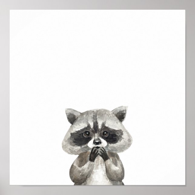 Süße Tier Sweet Racoon Animals Poster (Vorne)