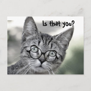 Süße überraschte Katze mit Brille Postkarte