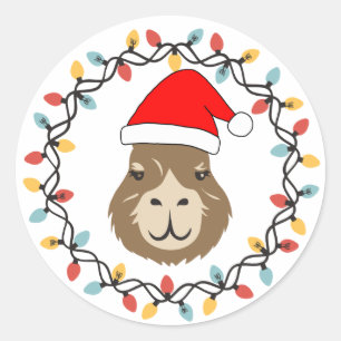 Süße und lustige Capybara-Weihnachtslichterkette Runder Aufkleber