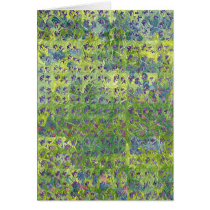 Süße Veilchen 2012