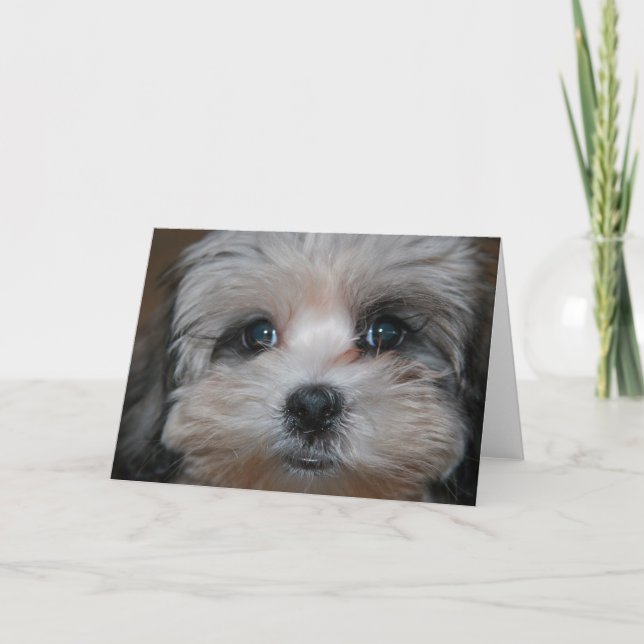 Süsse verkörpert karte (Vorderseite)