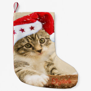 Süße verspielte Katze mit Weihnachtsmannmütze Kleiner Weihnachtsstrumpf