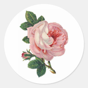 Süße viktorianische Rosen-Sticker Runder Aufkleber