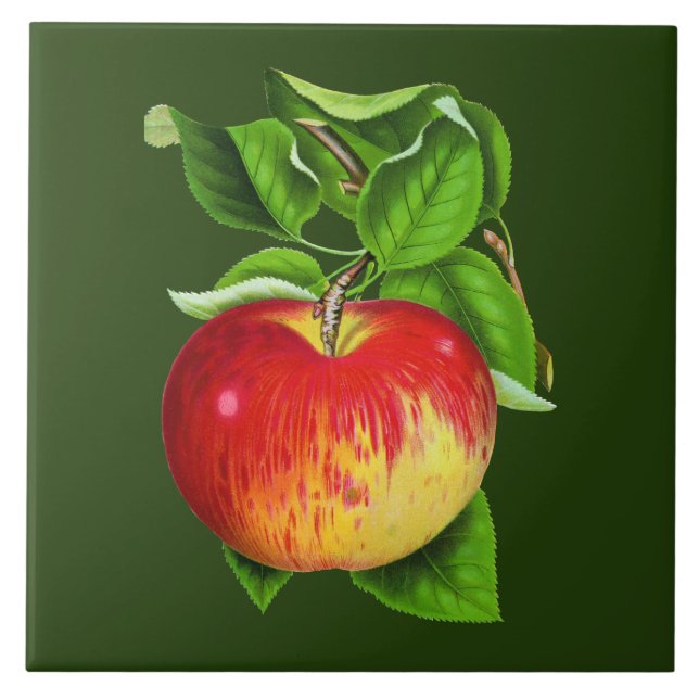 Süße vintage Apple Küchendekoration Fliese (Vorderseite)