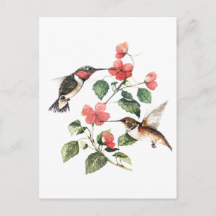 Süße Vintage-Blumen-Hummingbirds-Paar Postkarte