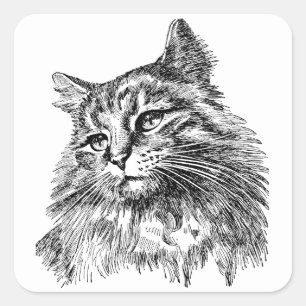 Süße vintage Katze schwarz weiß Quadratischer Aufkleber