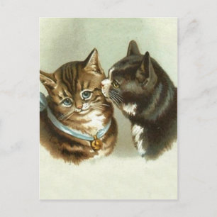 Süße Vintage-Katzen Postkarte
