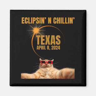 Süße vollständige Sonnenfinsternis-Katze Texas Magnet