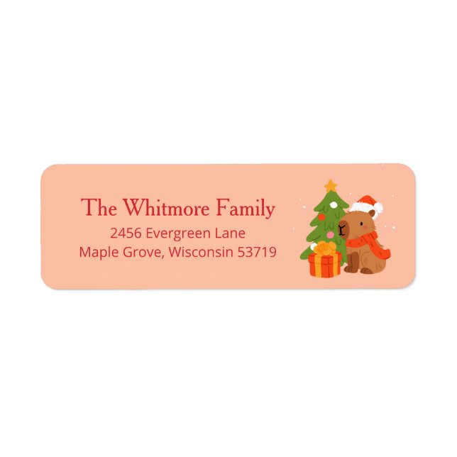 Süße Weihnachts-Capybara-Rücksendeadresse (Vorne)