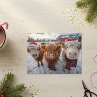 Süße Weihnachts-Hochlandrinder im Schnee