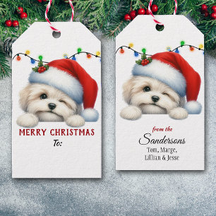 Süße Weihnachtsmannmütze zwinkerndes Havanese-Welp Geschenkanhänger