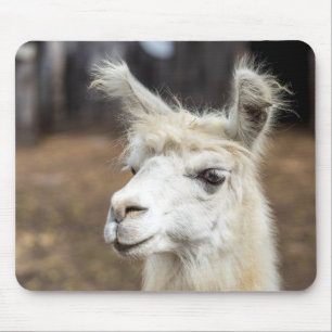 Süße weiße Lama-Mauspad Mousepad