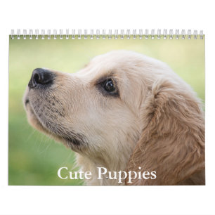 Süße Welpen-Kalender Kalender