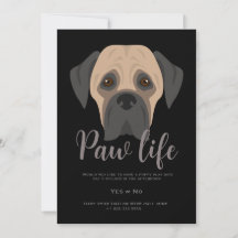 Süße Welpenhund Pfoten Leben Party