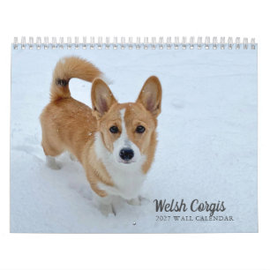 Süße Welsh Corgi Hund Fotografie 2027 Wand Kalender
