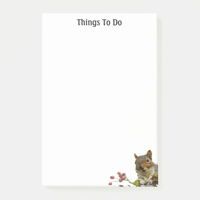 Süße wilde Eichhörnchen-Dinge zum Tun Post-it Klebezettel (Vorderseite)