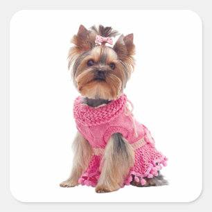 Süße Yorkshire Terrier Diva Yorkie Welpe Hund Quadratischer Aufkleber