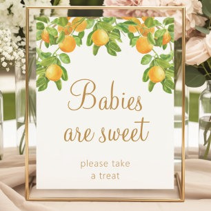 Süße Zitrus-Baby-Shower-Dessert-Tisch-Display Poster