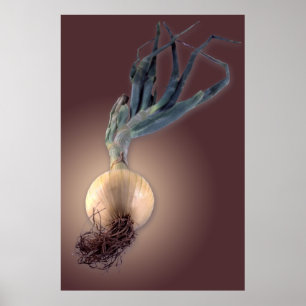 Süße Zwiebel Poster