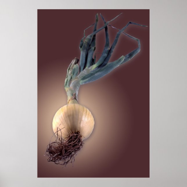Süße Zwiebel Poster (Vorne)