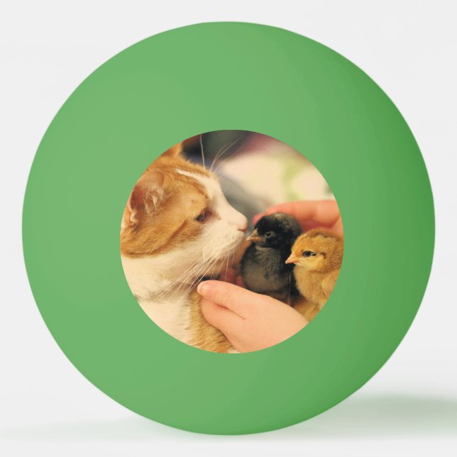 Süssen Tischtennisball (Vorderseite)