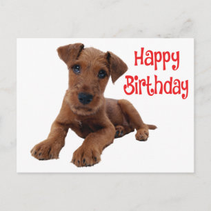 Süßer Airedale Terrier Welpe Hund Geburtstag Postkarte