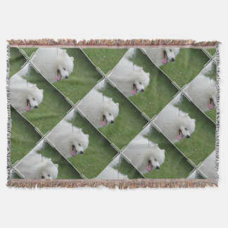 Süßer amerikanischer Eskimohund Decke