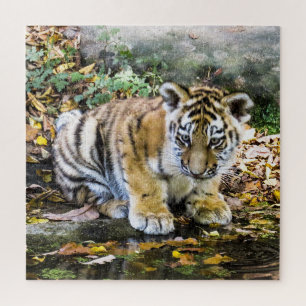 Süßer Baby-Tiger Puzzle