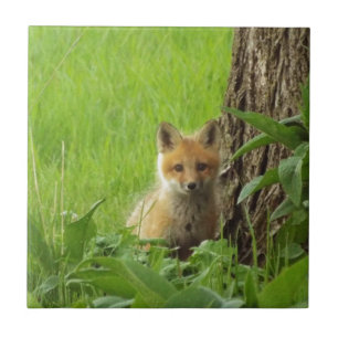 Süßer Babyfuchs im Frühlingsfoto Fliese