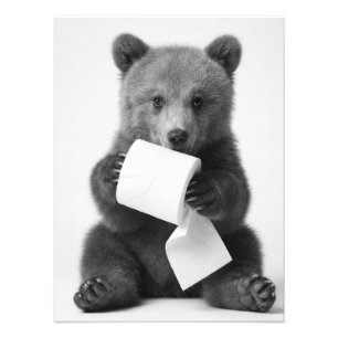 Süßer Bär mit Toilettenpapier Lustiger Minimalist Fotodruck