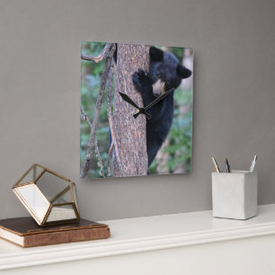 Süßer Bärenjunges Baum Oder Ihr Eigenes Foto Quadr Quadratische Wanduhr