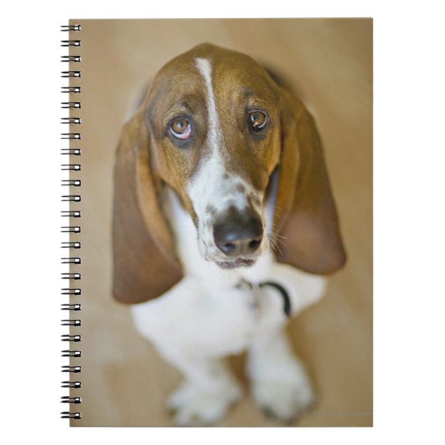 Süßer Basset-Jagdhund Notizblock (Vorderseite)