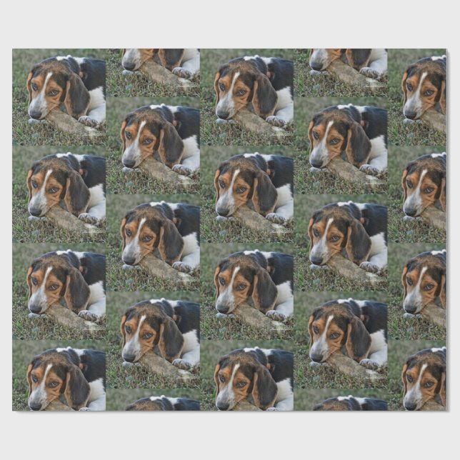 Süßer Beagle beim Benagen eines Knochens Geschenkpapier (Flach)