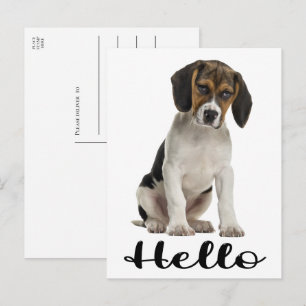 Süßer Beagle Hallo Lustiger Welpe Hund Denk an Dic Postkarte