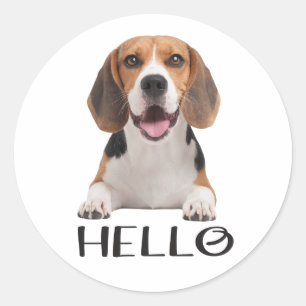 Süßer Beagle-Welpe Hund Hallo Ich Vermisse Dich Fr Runder Aufkleber