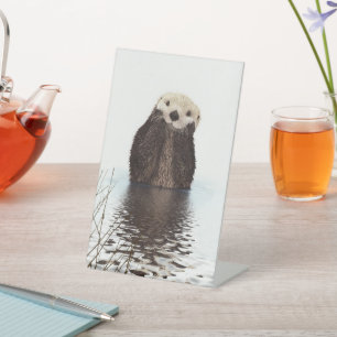 Süßer bezaubernder flauschiger Otter Sockelschild