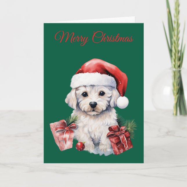 Süßer Bichon Frise zu Weihnachten (Vorderseite)