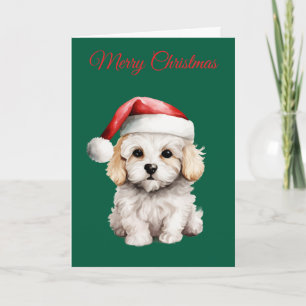 Süßer Bichon Frise zu Weihnachten