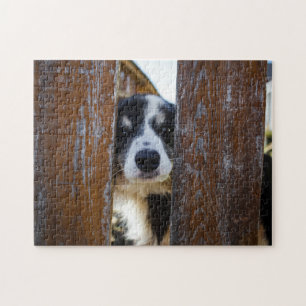 Süßer Border Collie Hund Portrait Puzzle