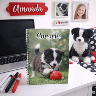 Süßer Border Collie mit rotem Ball  Notizblock