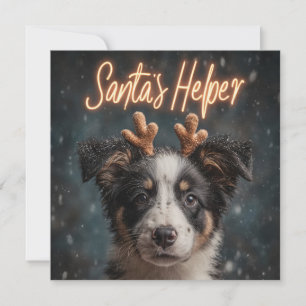 Süßer Border Collie-Welpe als Santas Helfer Feiertagskarte