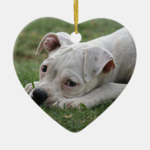 Süßer Boxer-Welpe Keramik Ornament