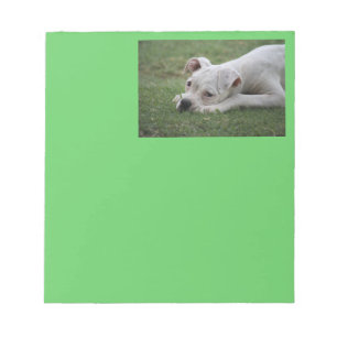 Süßer Boxer-Welpe Notizblock