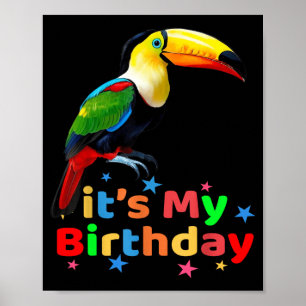 Süßer Bunter Tukane-Geburtstag für Kinder in der Poster
