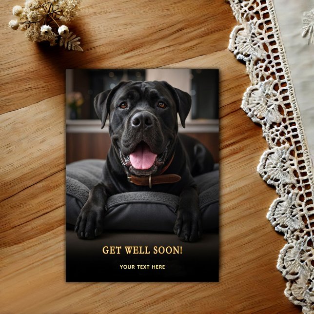 Süßer Cane Corso Gute Besserung Postkarte (Von Creator hochgeladen)