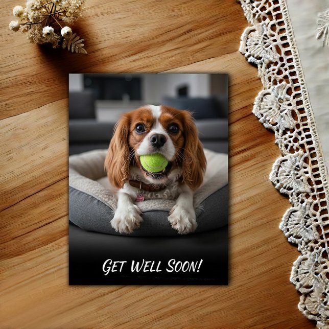Süßer Cavalier King Charles Spaniel Gute Besserung Postkarte (Von Creator hochgeladen)