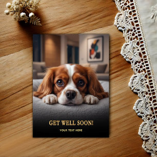 Süßer Cavalier King Charles Spaniel Gute Besserung Postkarte