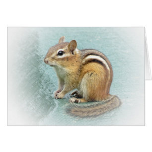 Süßer Chipmunk